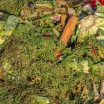 materiales para el compostaje